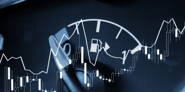 Oil Price Turmoil - Situation Assessment and Outlook